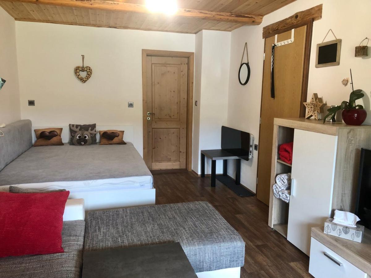 Apartman S Vyhledem Na Jezerni Stenu Železná Ruda Εξωτερικό φωτογραφία